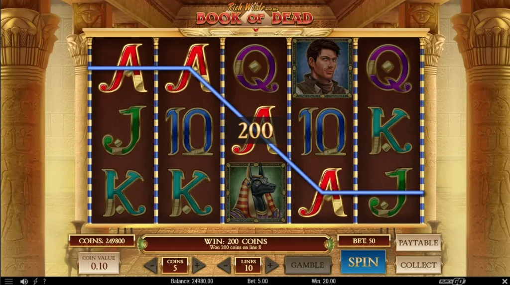 Book of Dead sur Betwinner